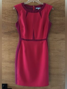 Antonio Melani Size 4 Pink Dress